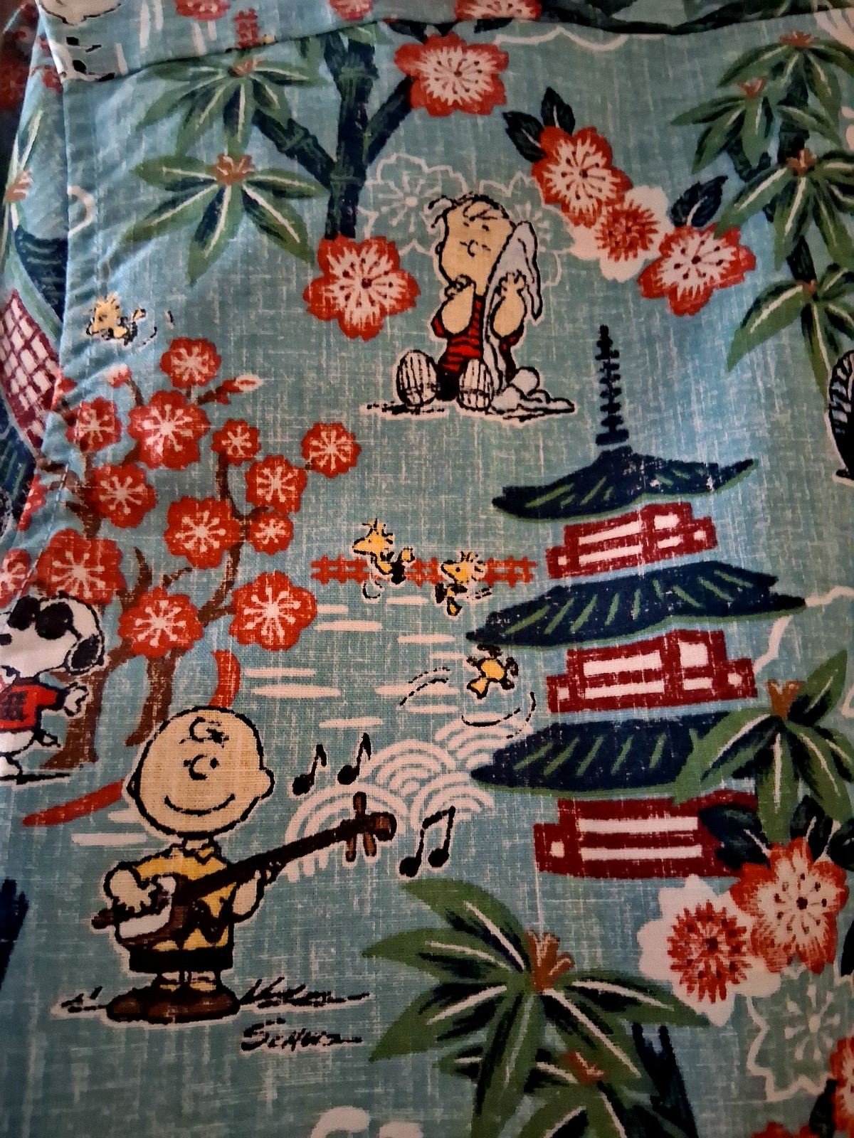 Reyn Spooner Men’s ” PEANUTS IN JAPAN” NWT PULLOVER Classic Fit Aqua Shirts