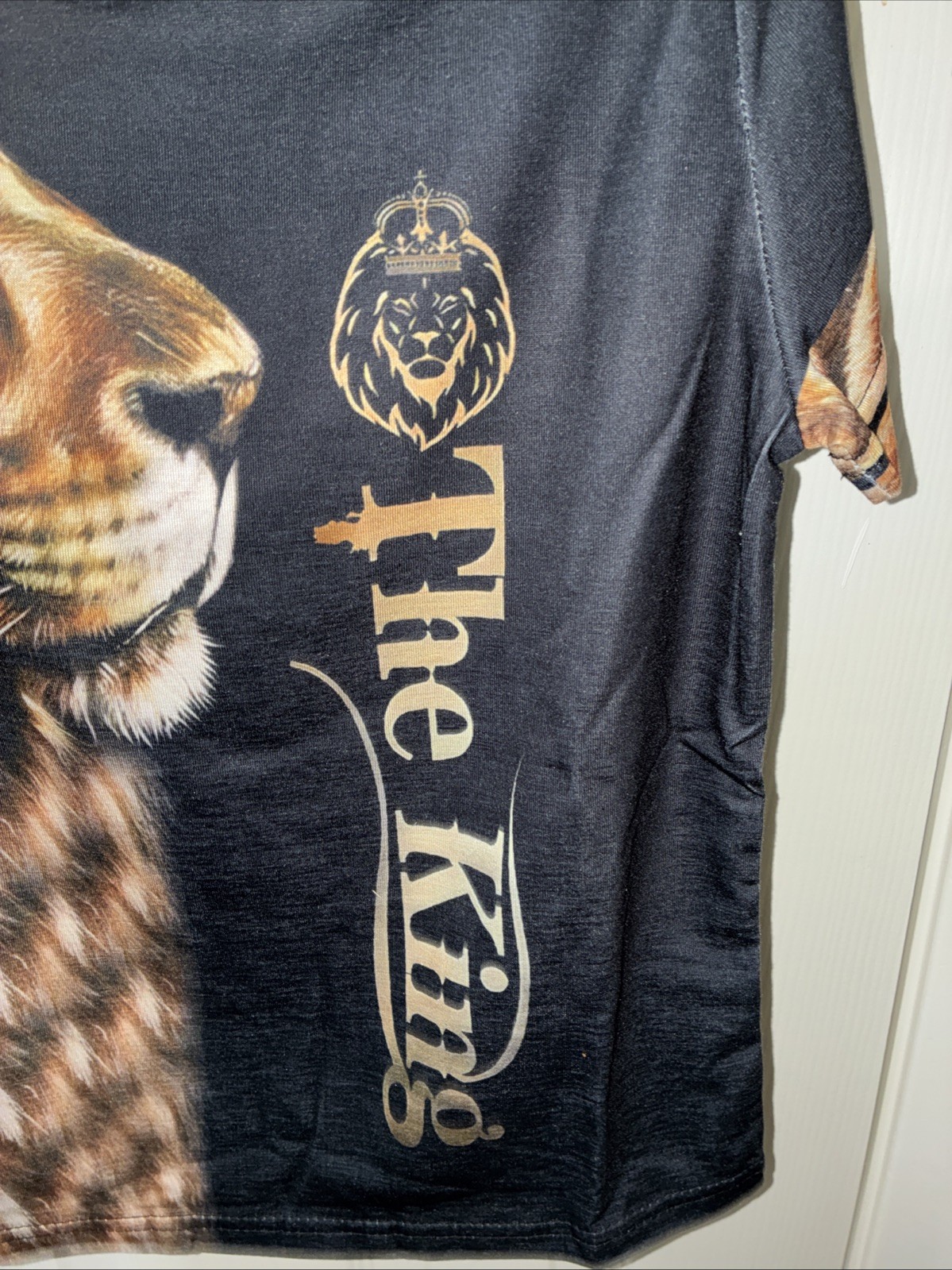 Boys Short Set Size5-6 Y The King Loin 🐅👀👑 Cute