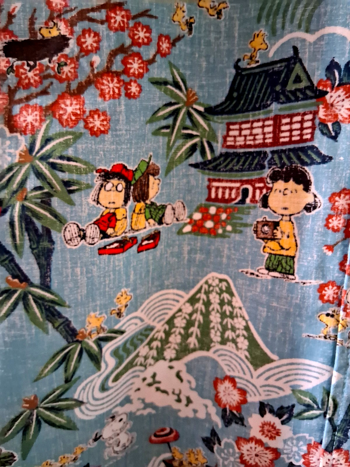 Reyn Spooner Men’s ” PEANUTS IN JAPAN” NWT TAILORED FIT Aqua Button Front Sizes