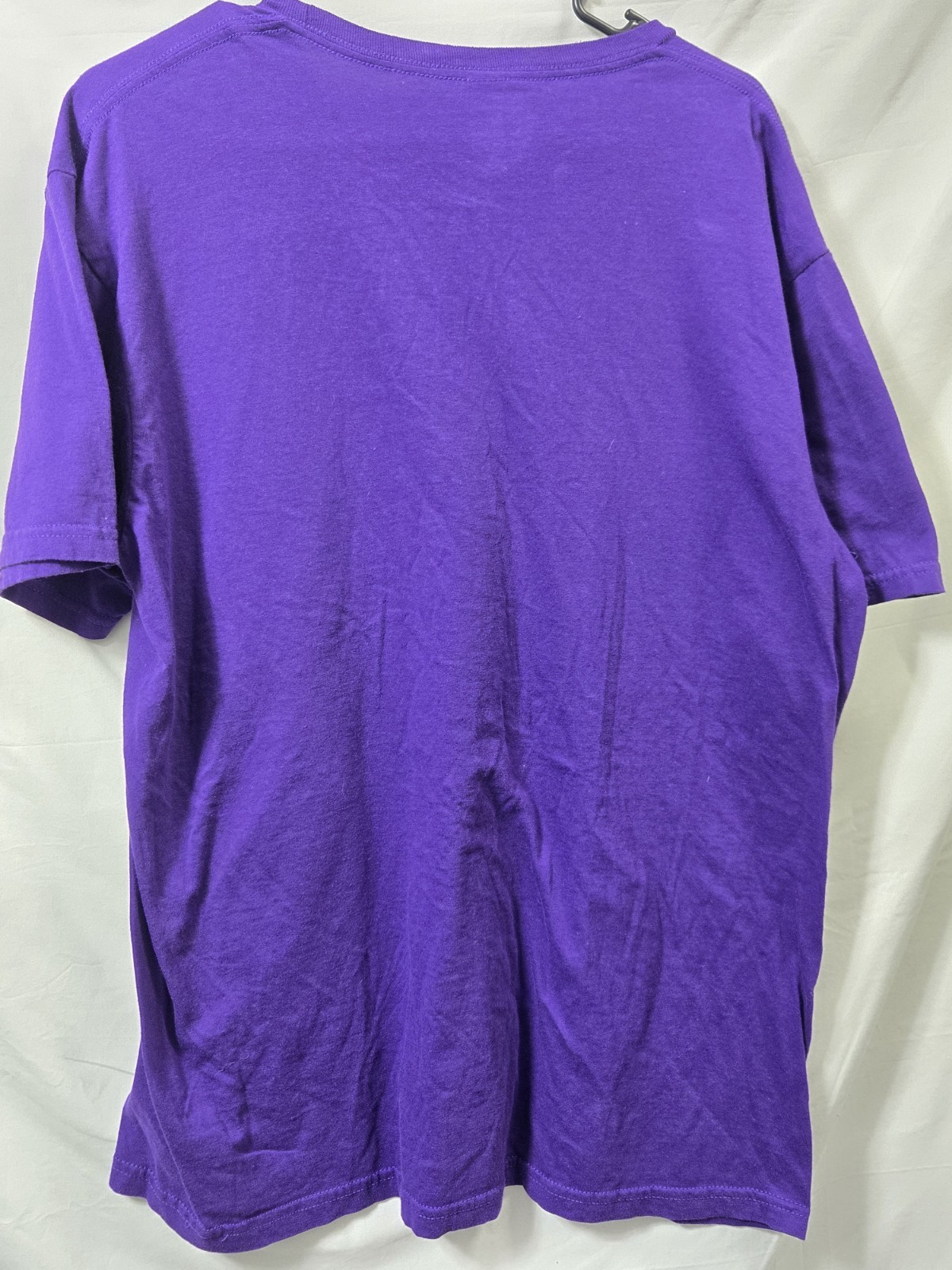 Y2K Gildan Softstyle Purple Graphic Print Men’s Crew Neck Short Sleeve T-Shirt L