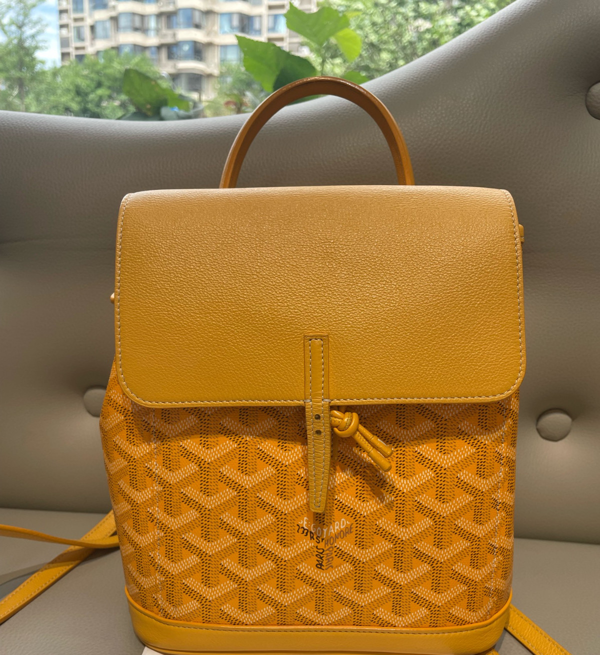 Goyard Alpin Mini Canvas Backpack（ 23×9.5×19 ）cm