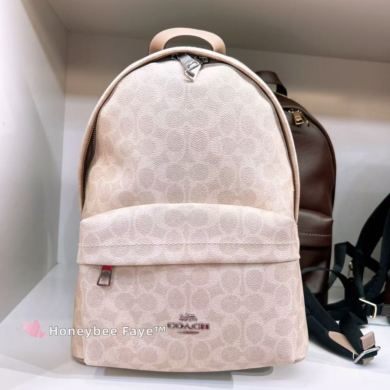 NWT Coach Taylor Small Backpack In Signature Canvas CDW76/CDW78/CEF46/CEF27
