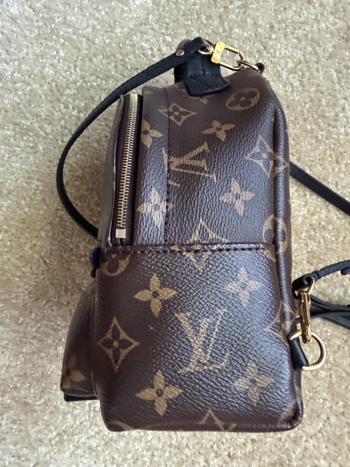 Louis Vuitton Palm Springs Backpack Mini Brown Canvas Monogram