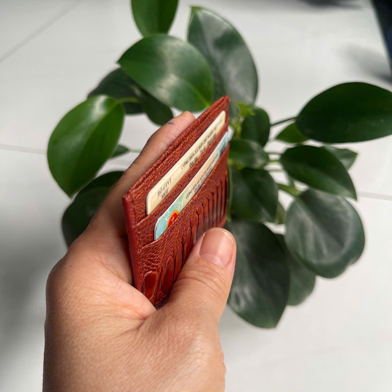 BrownGENUINE OSTRICH LEATHER SKIN CREDIT CARD HOLDER/ WALLET CARD HOLDER FOR MEN