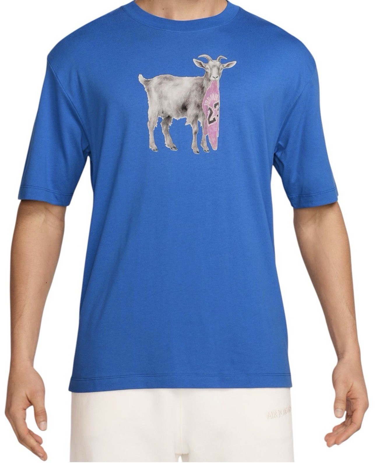 Air Jordan “THE GOAT” Men’s T Shirt Size XL New Blue❤️Last 1