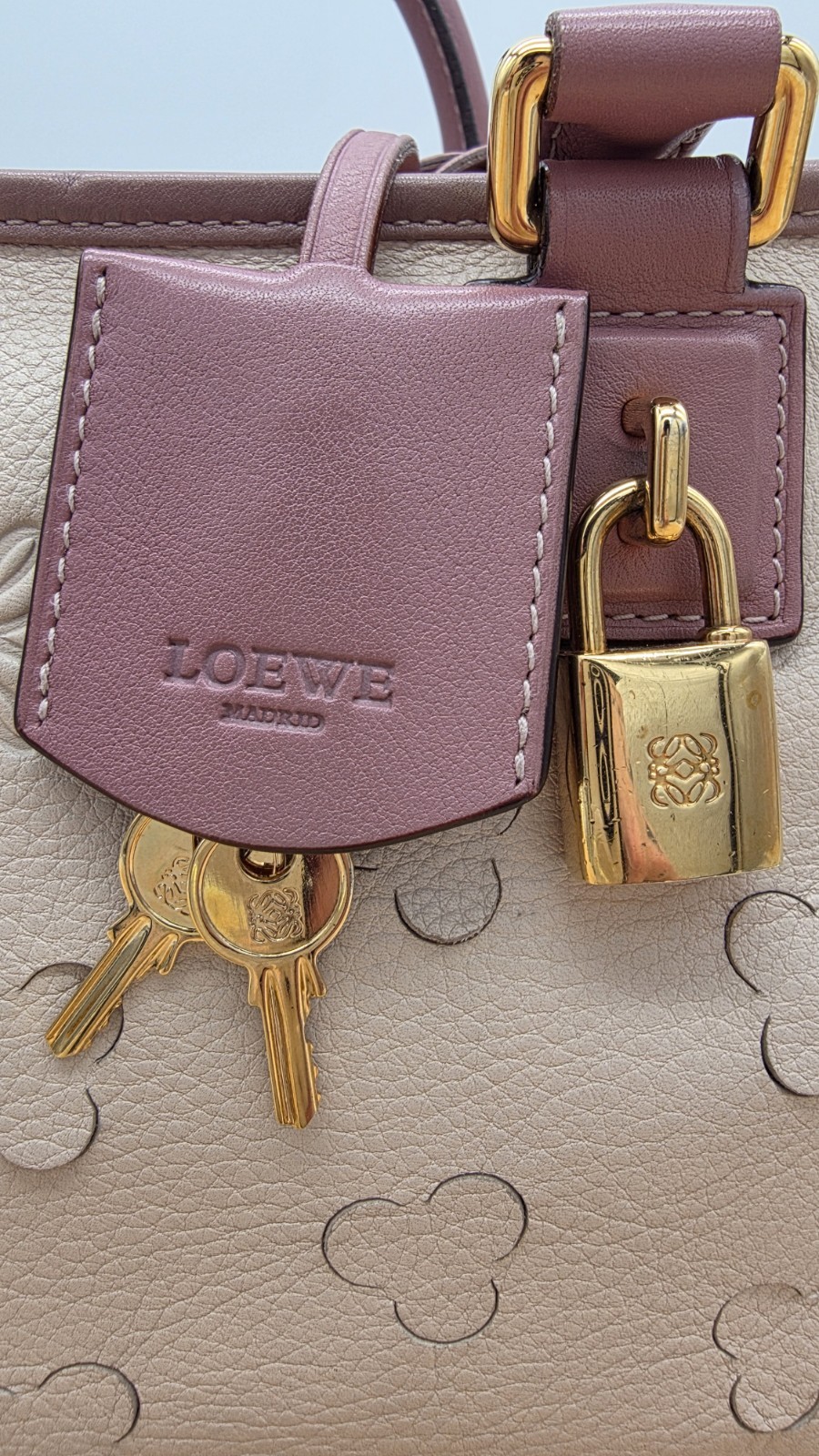 [RARE] Loewe Limited Edition Cherry Blossom Amazona 28
