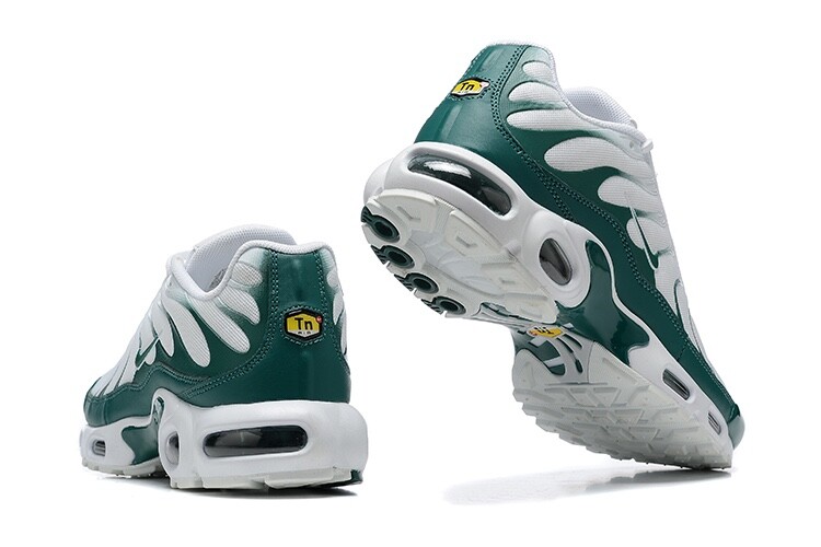 Nike Air max tn concept white green