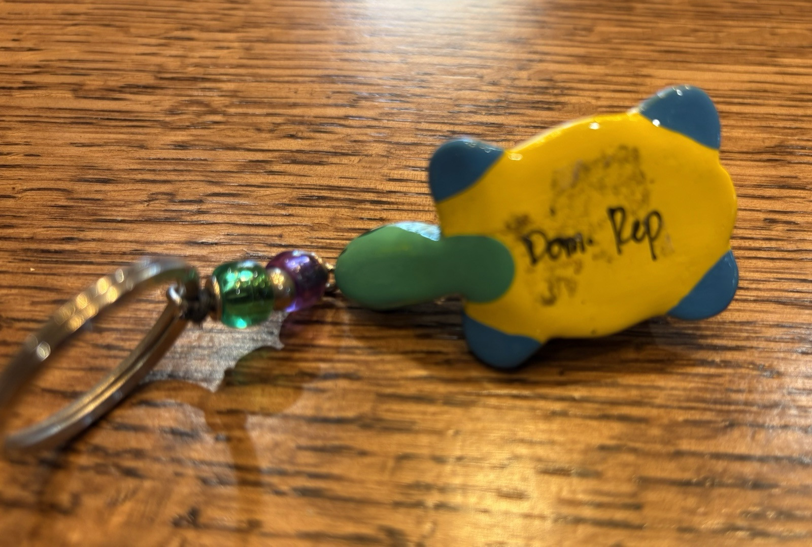 Keychain Colorful Turtle : Tortis Dominican Republic