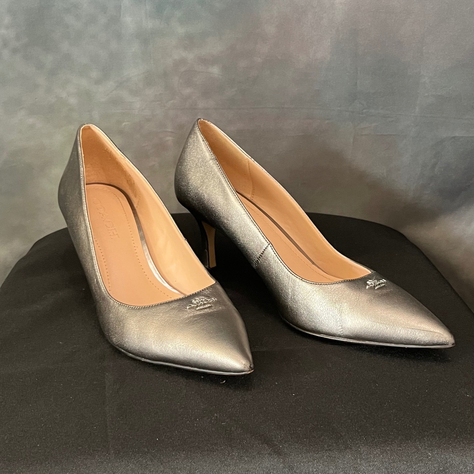 Coach Waverly Gunmetal Metallic Leather Pointed Toe Pumps G4585 Womens 8.5B