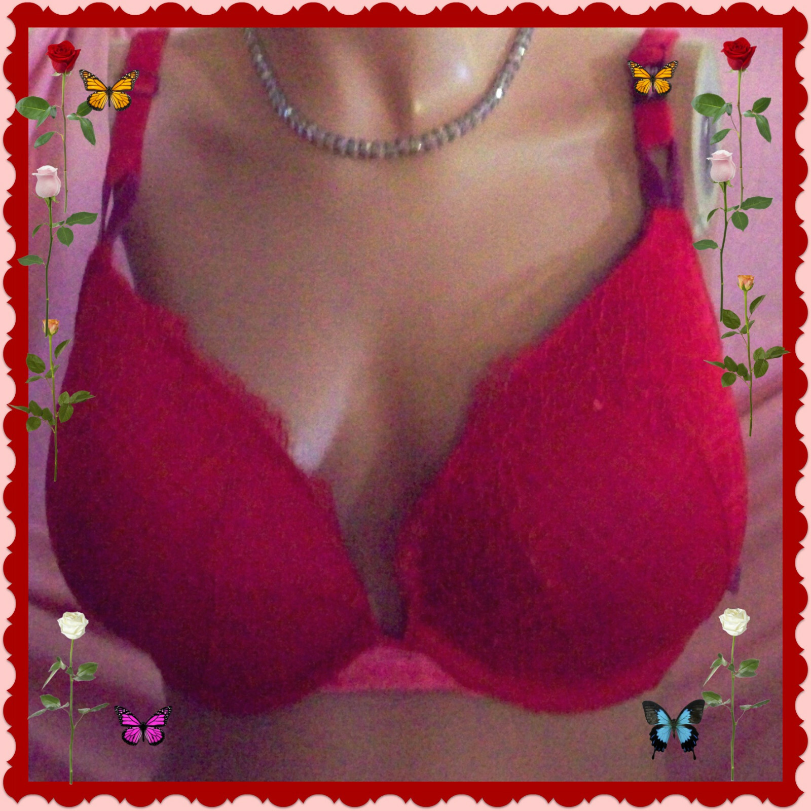 36DD Red LACE Mesh Wings VELVET Extreme Lift Victorias Secret Plunge PU UW Bra