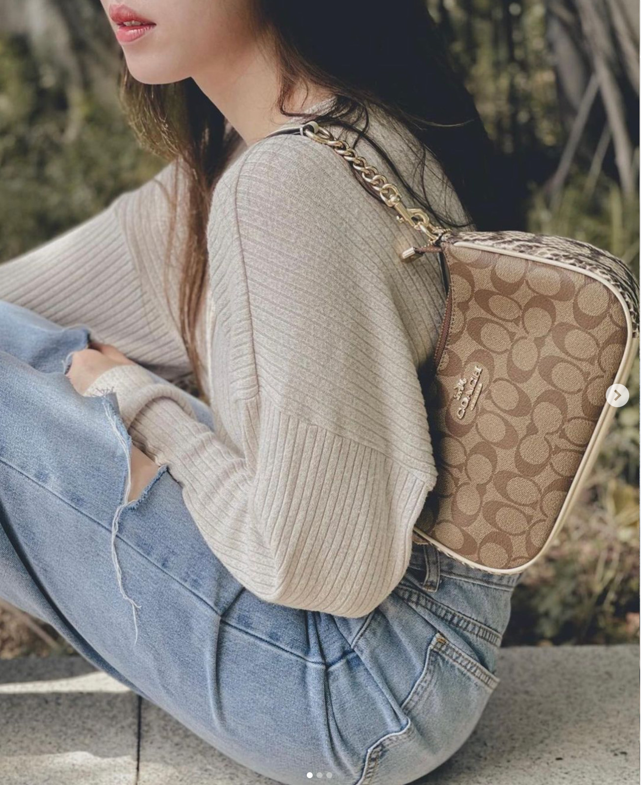 NWT Coach Teri Shoulder Bag In Signature Canvas
