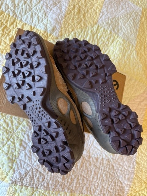 ECCO Biom C-Trail M GTX Leather Hiking Comfort Shoes, Size 11-11.5 EU 45 US