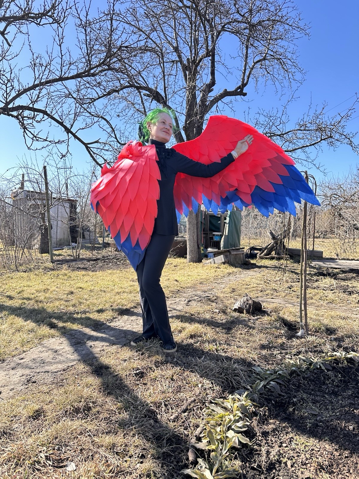 Red Angel Wings Costume Red Blue Angel Wings