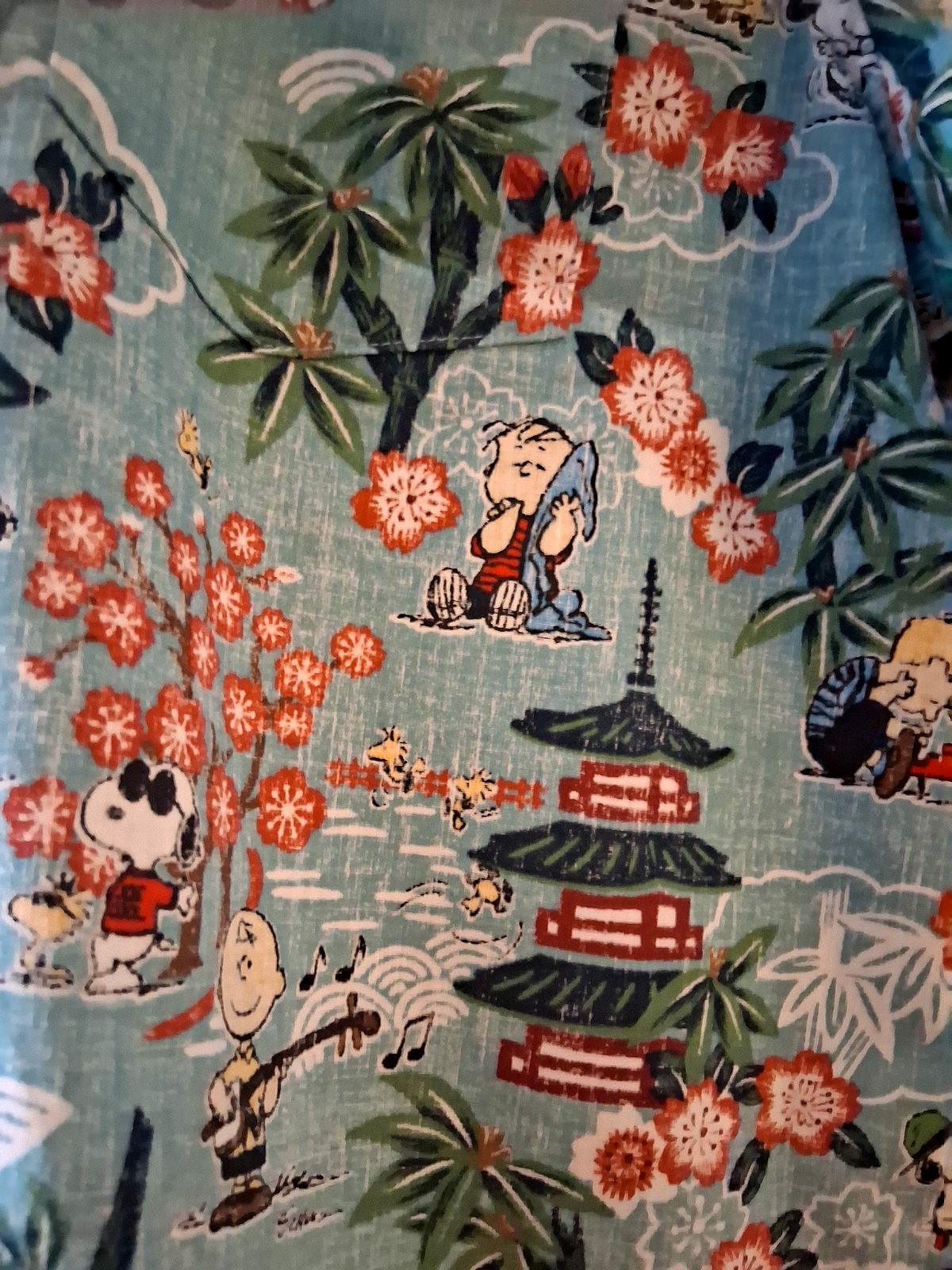 Reyn Spooner Men’s ” PEANUTS IN JAPAN” NWT PULLOVER Classic Fit Aqua Shirts