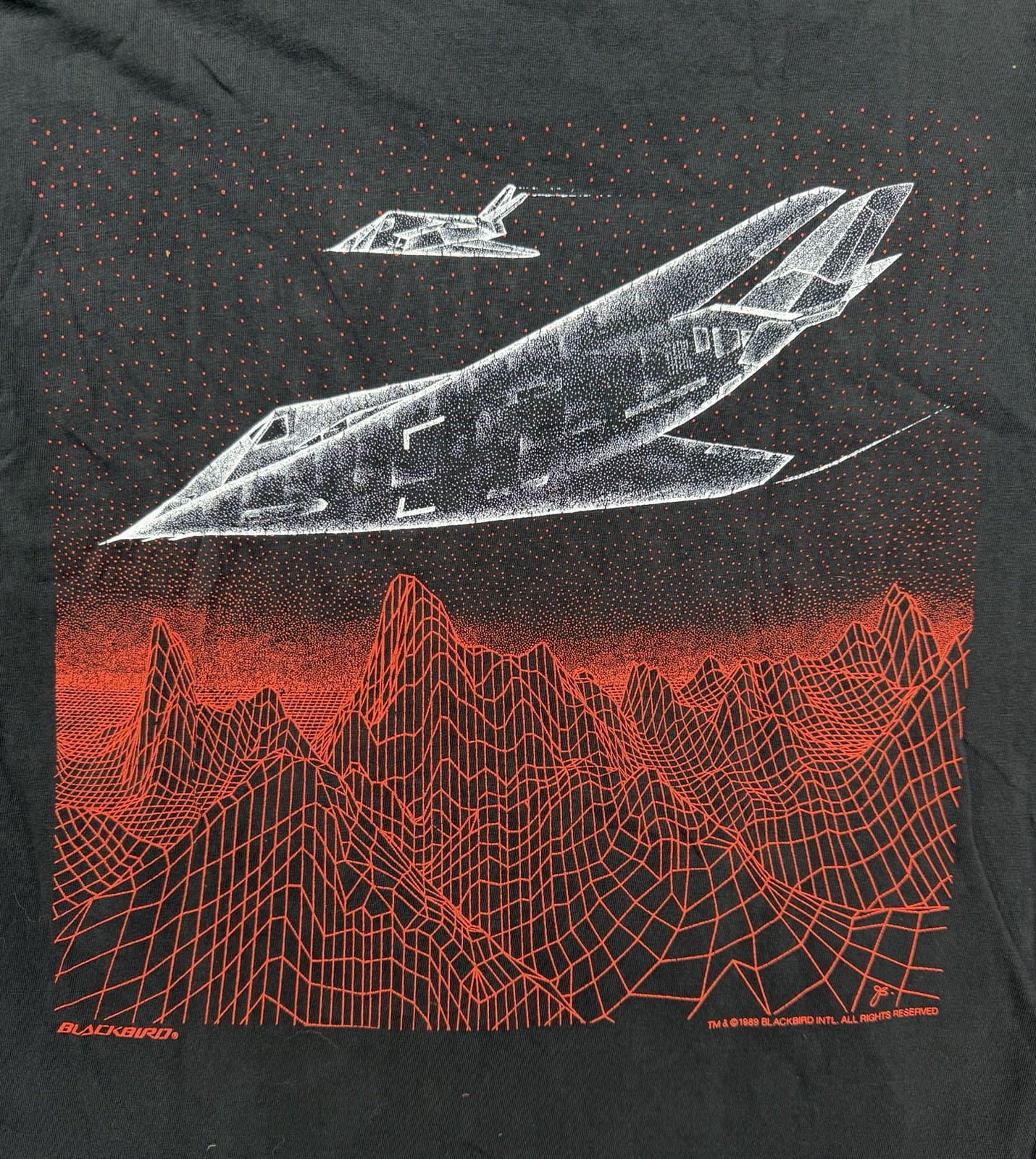 Vintage 1989 Blackbird F-117 Stealth Fighter Tee. single stitch. made in usa.