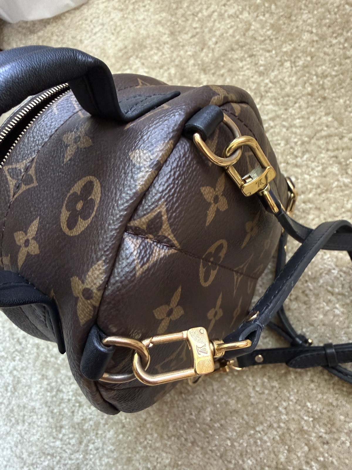 Louis Vuitton Palm Springs Backpack Mini Brown Canvas Monogram