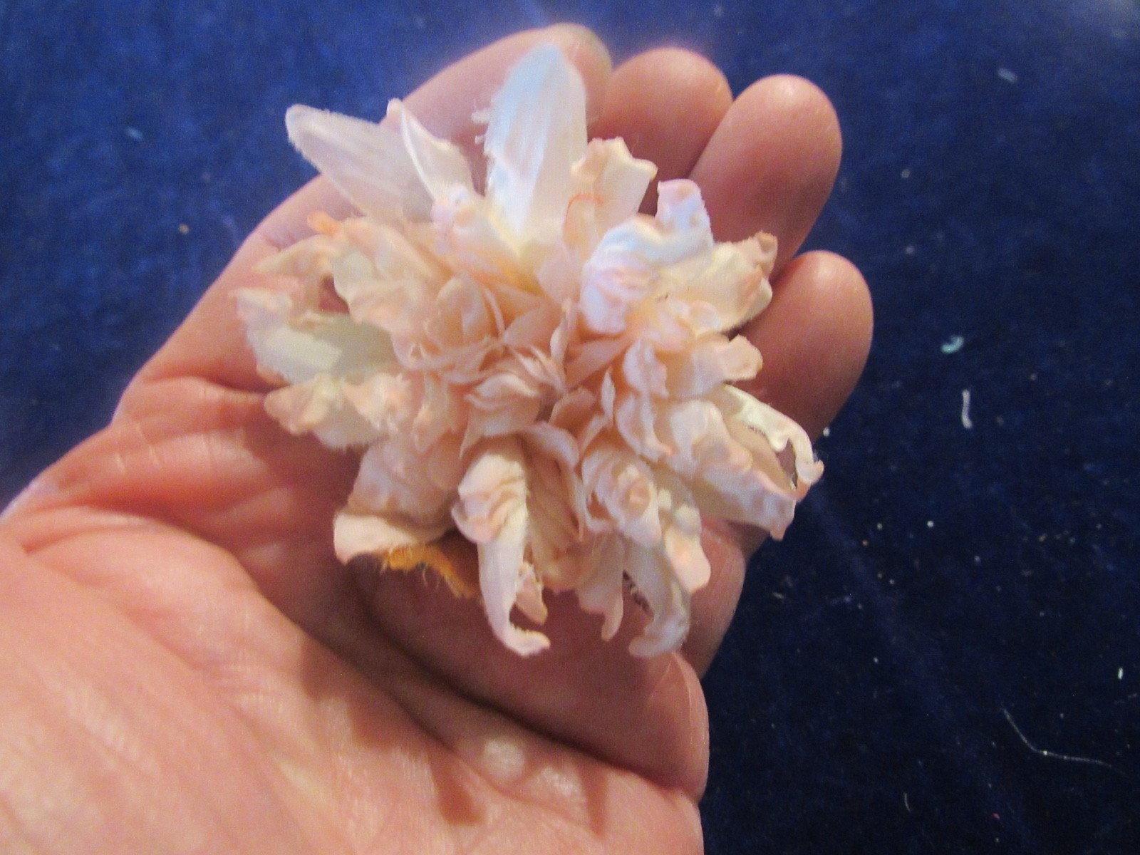 Millinery Flower Collection Lot Ivory Pink Blue Red All With Pins H5640