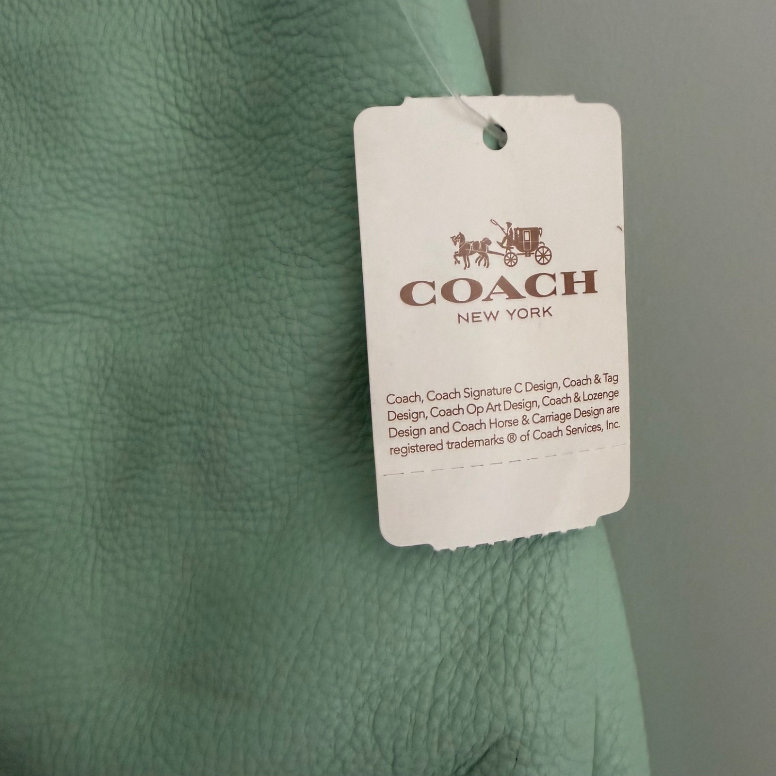 NWT $395 Coach Madison Phoebe Pebbled Leather Shoulder Bag Mint Green Silver