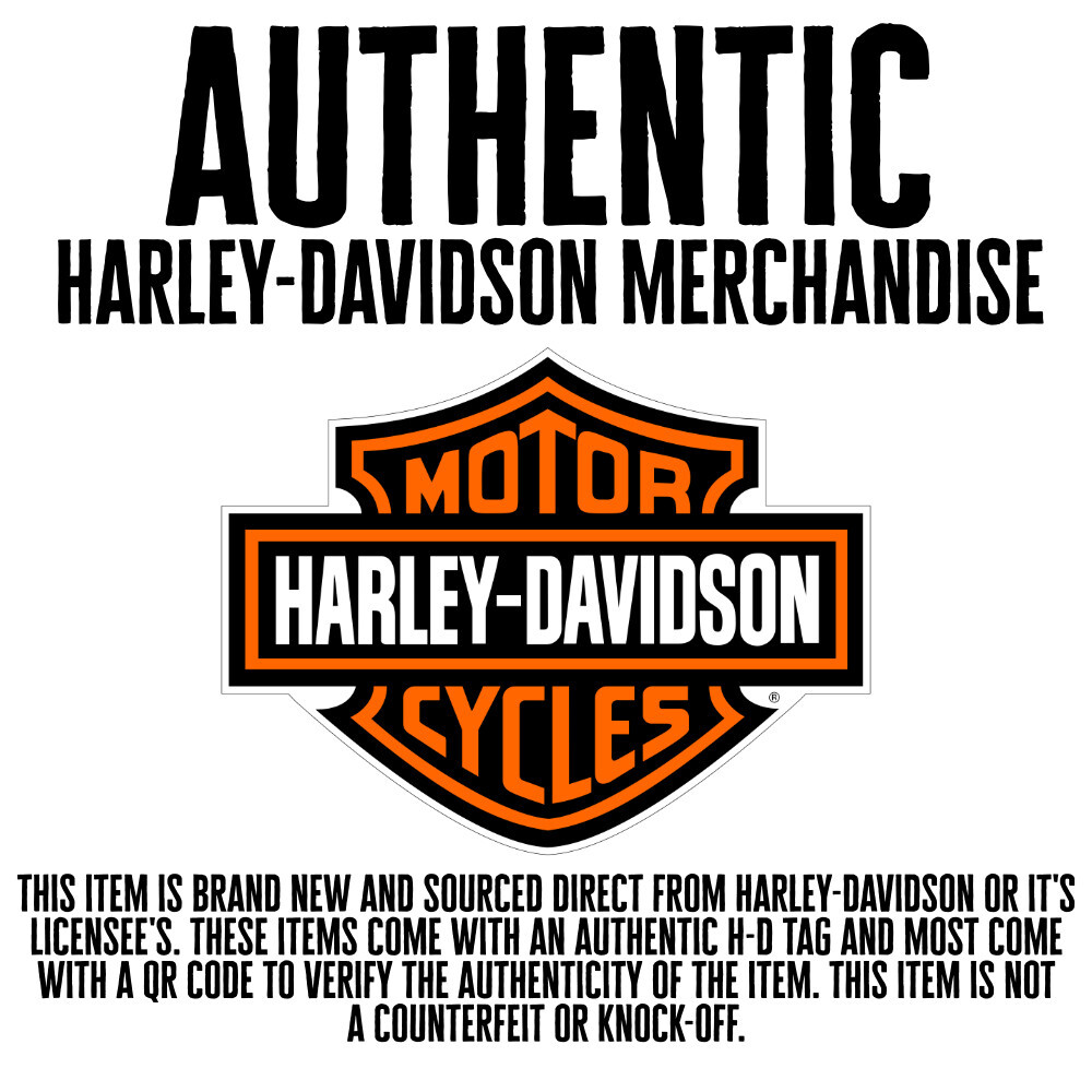 Harley-Davidson Colorblocked Logo 39THIRTY Cap – 99447-16VM