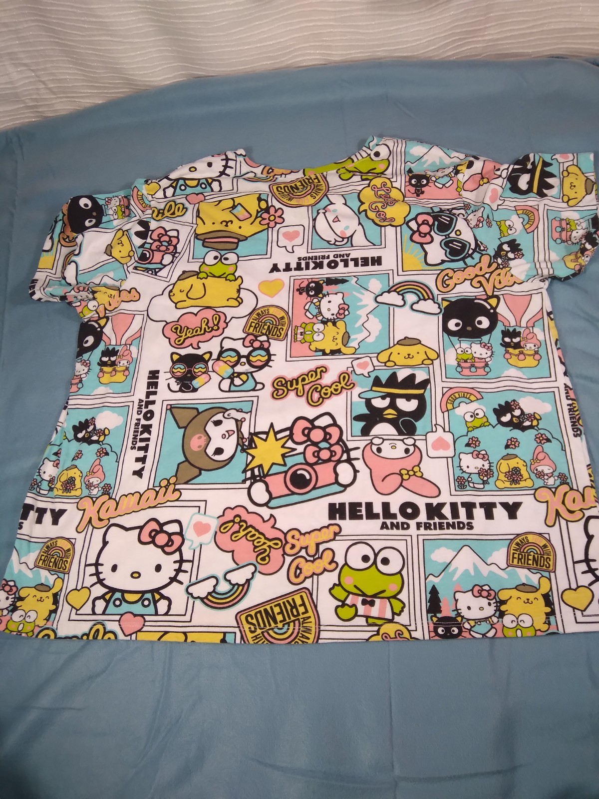 SANRIO HELLO KITTY AND FRIENDS WOMEN’S PLUS T-SHIRT CARTOON GRAPHICS 3X