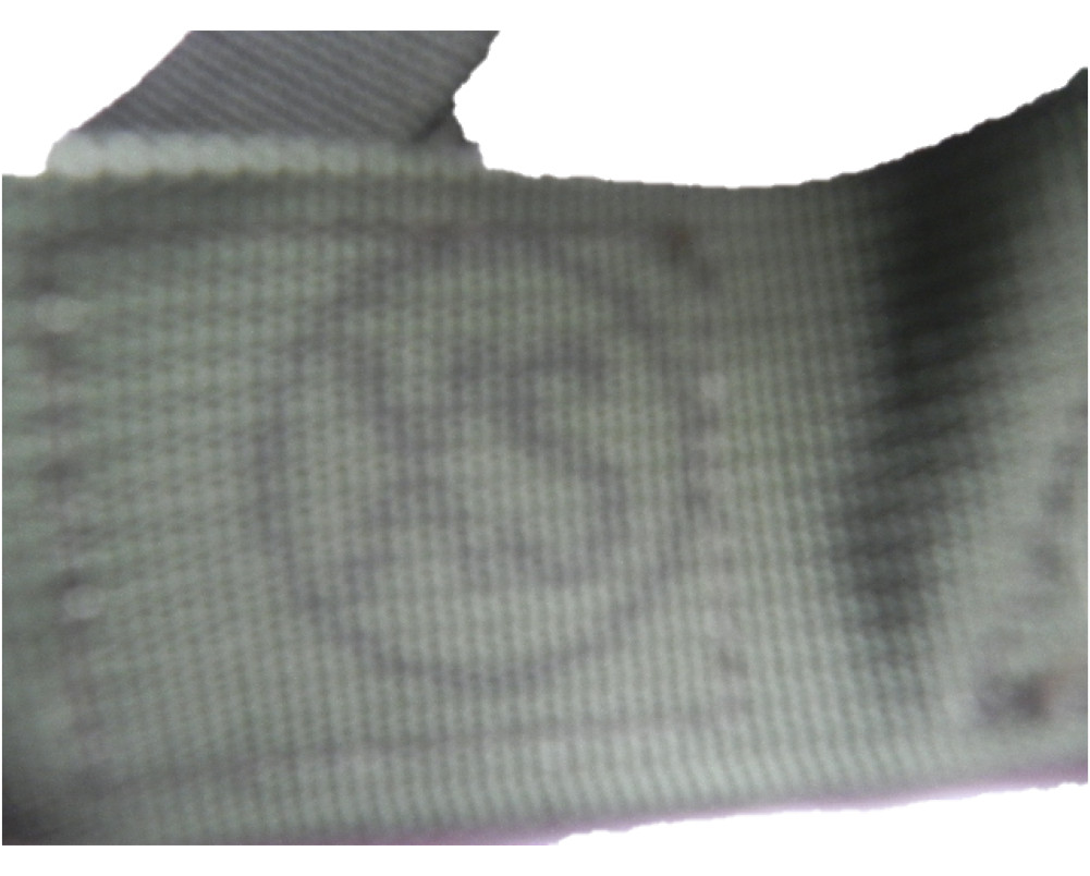 USGI Military PASGT Helmet Suspension Assembly
