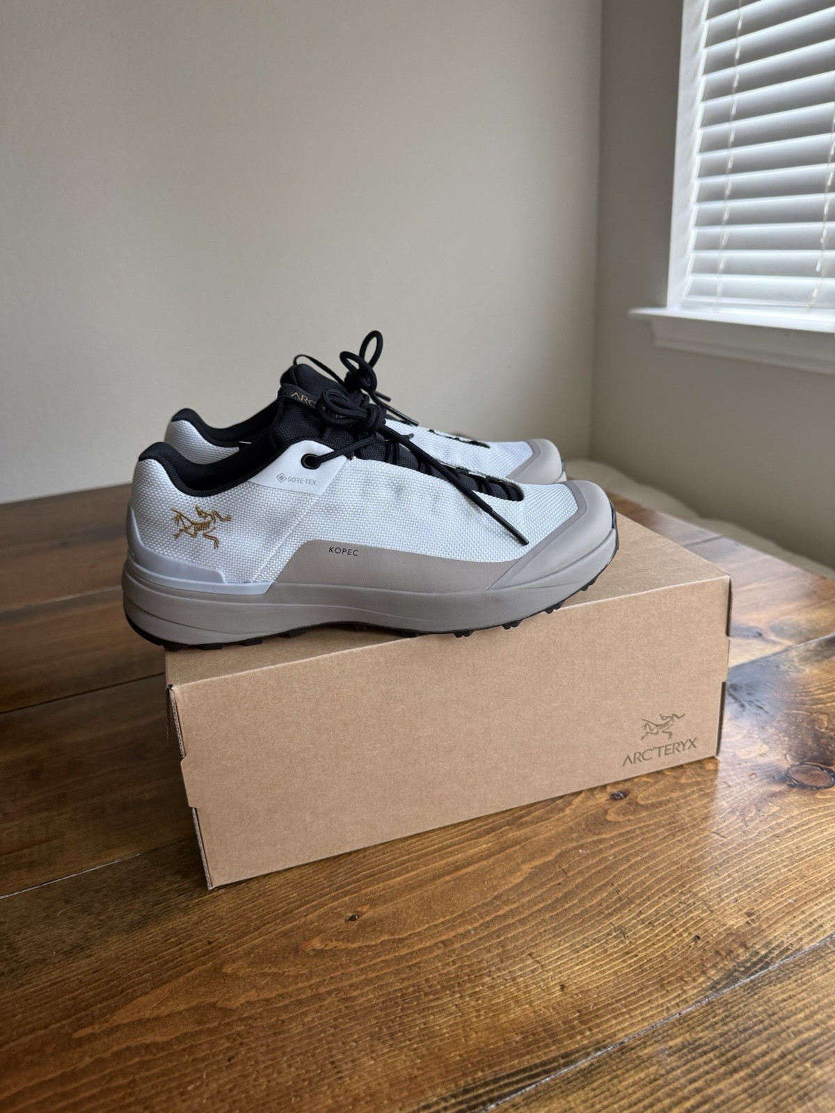 Arc’teryx Kopek GTX Trainer