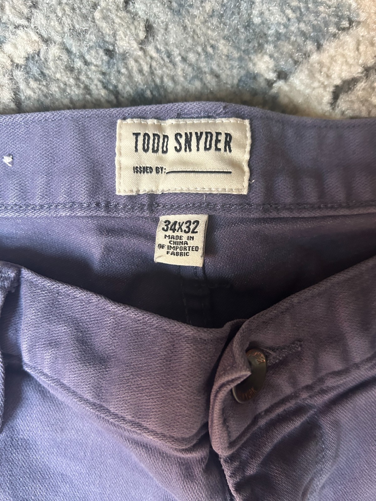 Todd Snyder pants blue/purple 34×32