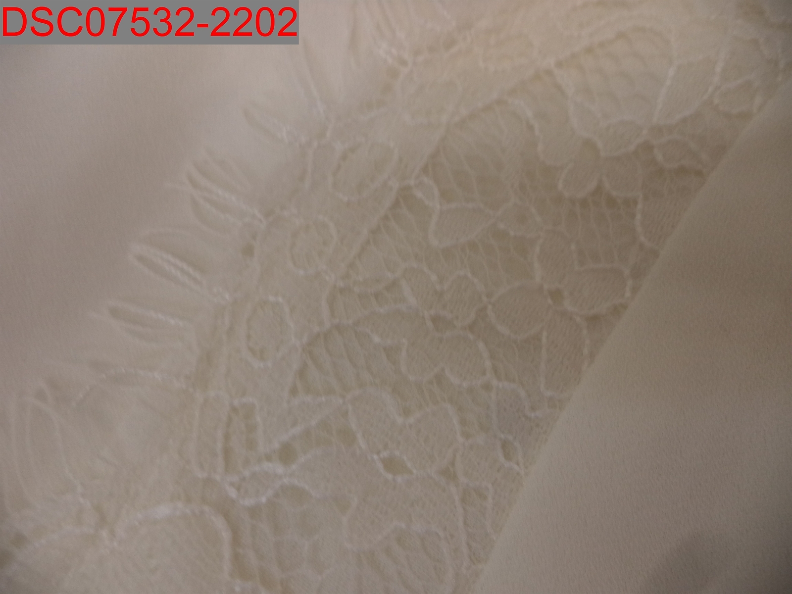 NWT – Stain, Abound Women’s Ivory Lace Trim Crepe Cami Top, Size M 439112773005