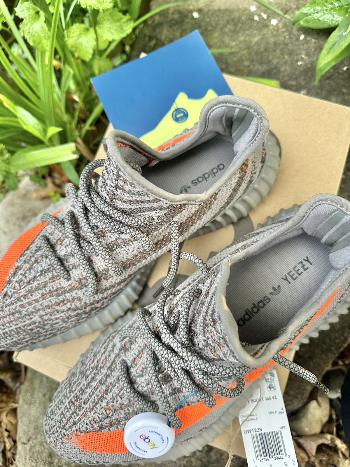 adidas Yeezy Boost 350 V2 Beluga Reflective Gray/Orange Low Top GW1229