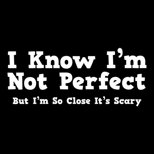 I Know I’m Not Perfect But Sarcastic Humor Graphic Novelty Funny T Shirt
