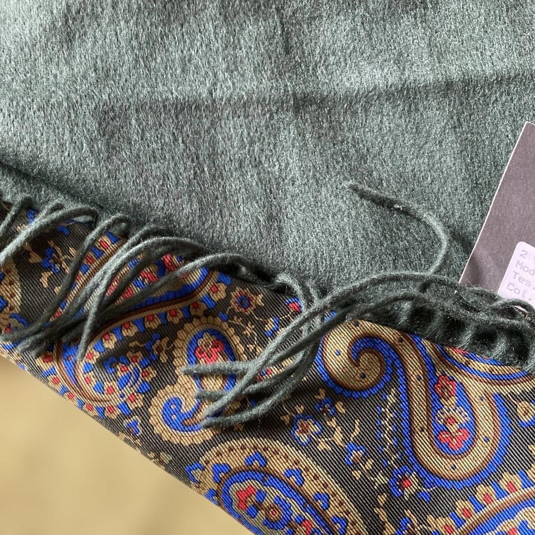 Etro Reversible Cashmere Silk Scarf 12.6×50.4in Unisex Mos Green