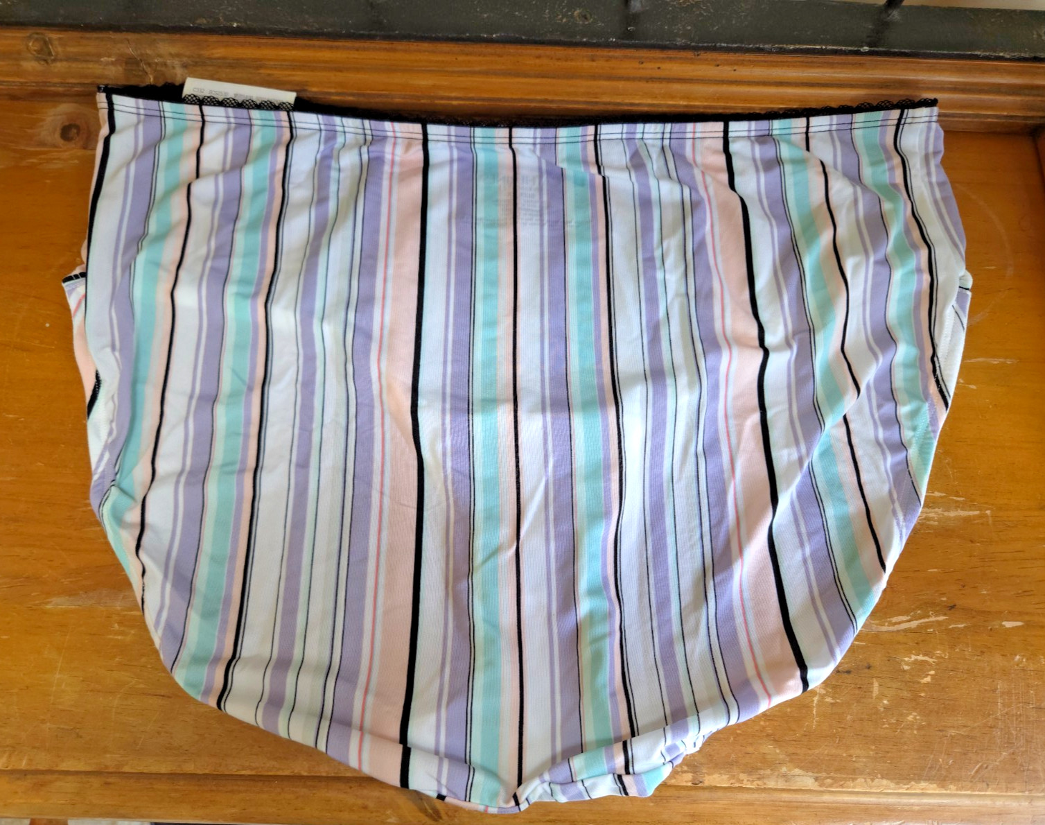 2 Catherines Hi-Cut Brief Panties Underwear Nylon Blend Plus 2X