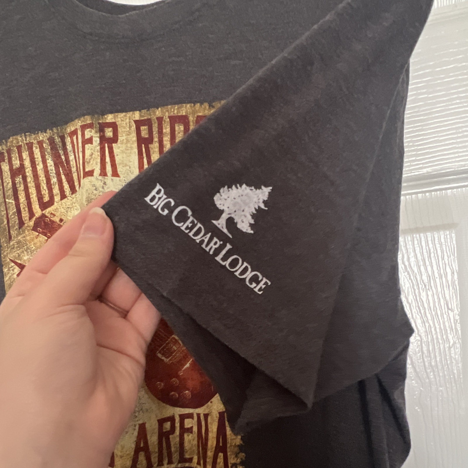 Bass Pro Shop Men’s XL Black Thunder Ridge Graphic Tee Big Cedar Lodge Print