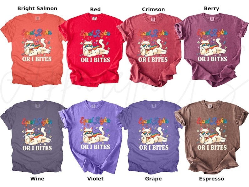 Comfort Colors Pride Month Shirt, Equal Rights Or I Bites Cat Shirt, LGBTQ Shir