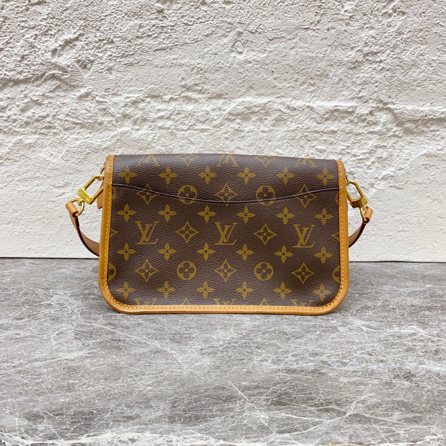 Louis Vuitton Diane presbyterian underarm baguette chip (24 × 15 × 9)cm