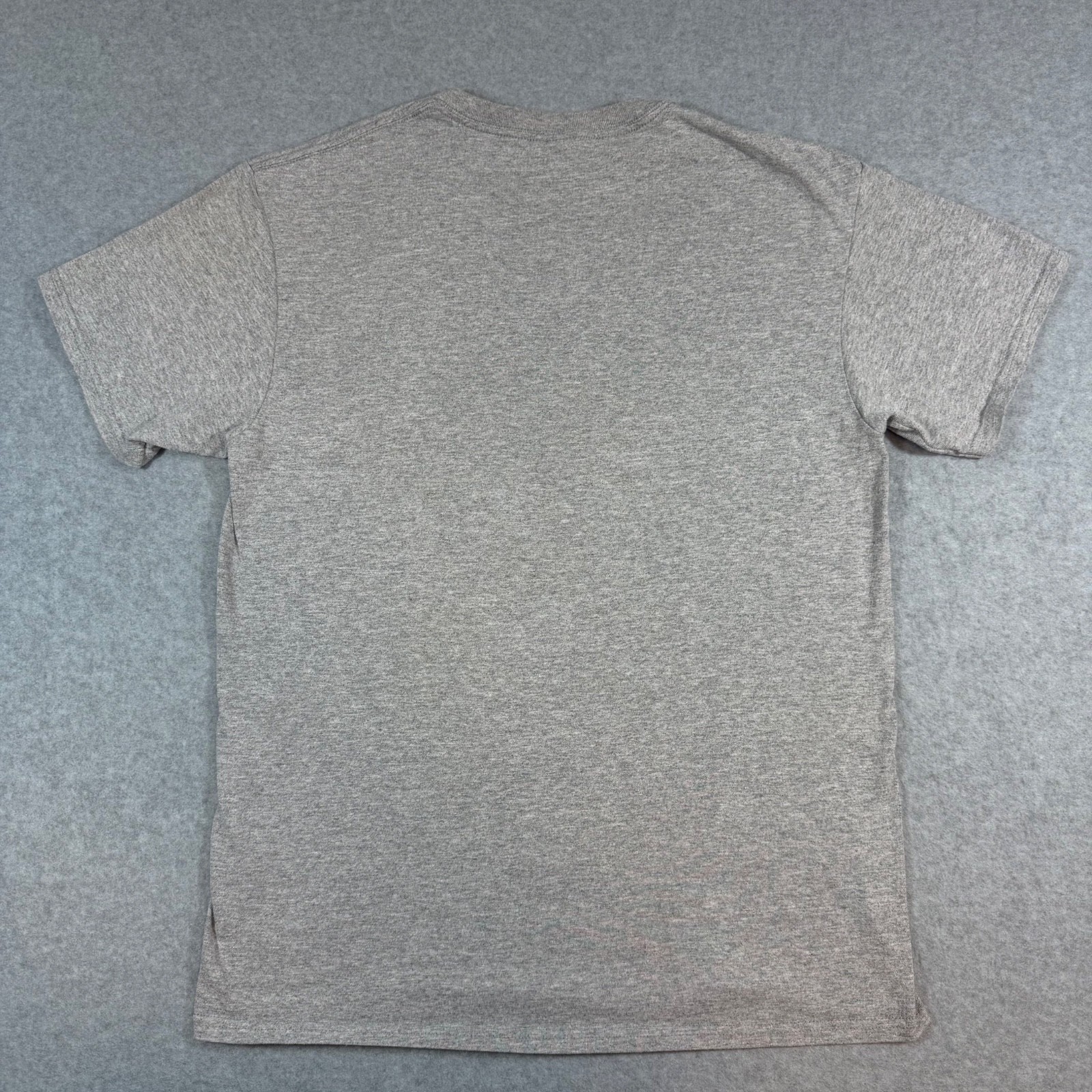 Alaska The Last Frontier Graphic T-Shirt Men’s Medium Gray Souvenir Tee