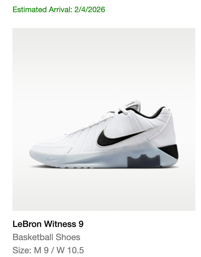 Nike LeBron James Witness VIII Size 9 White / Neutral Grey / Black HQ8034-100