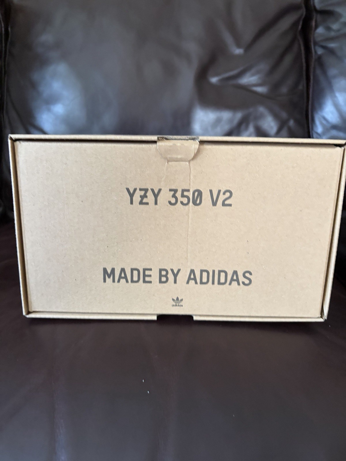 adidas Yeezy Boost 350 V2 Bone/Bone/Bone White