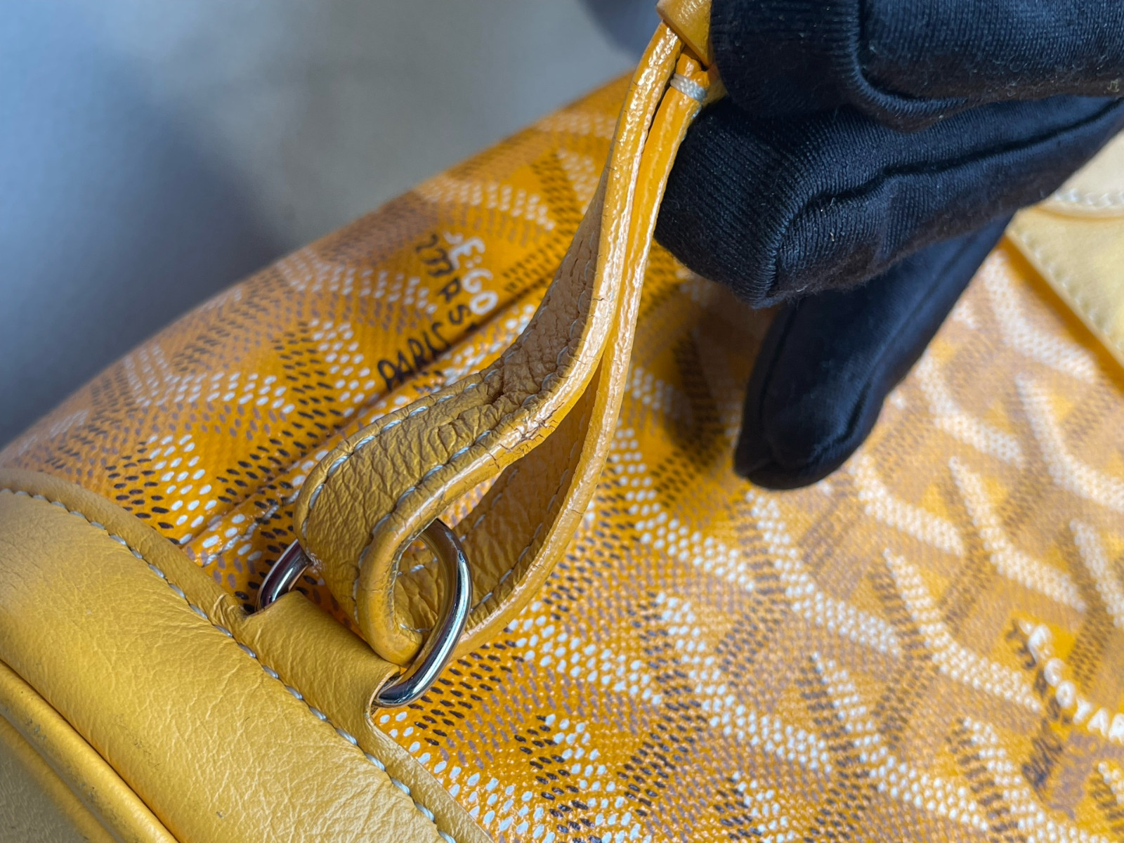 Goyard Alpin Mini Canvas Backpack（ 23×9.5×19 ）cm