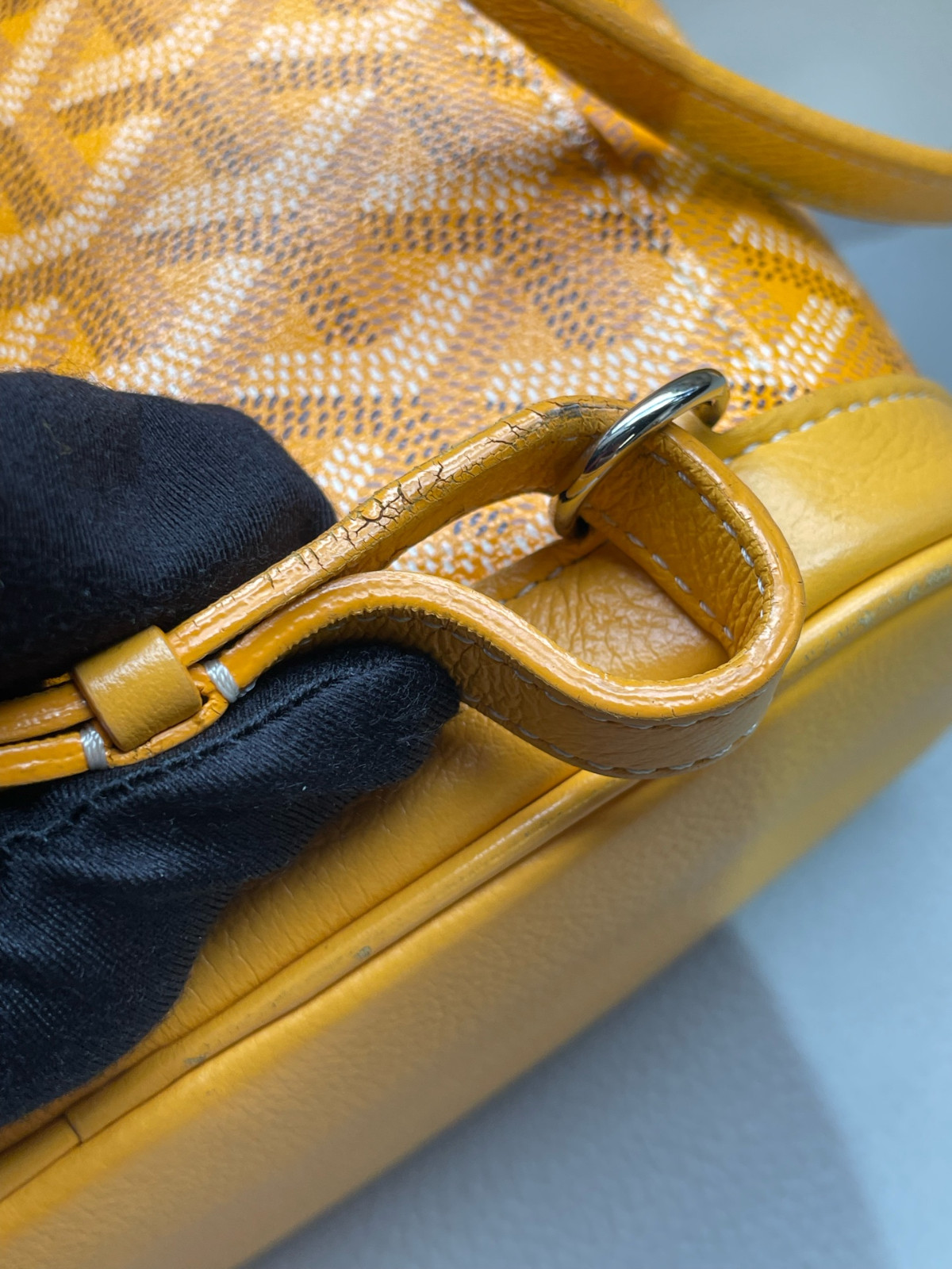 Goyard Alpin Mini Canvas Backpack（ 23×9.5×19 ）cm