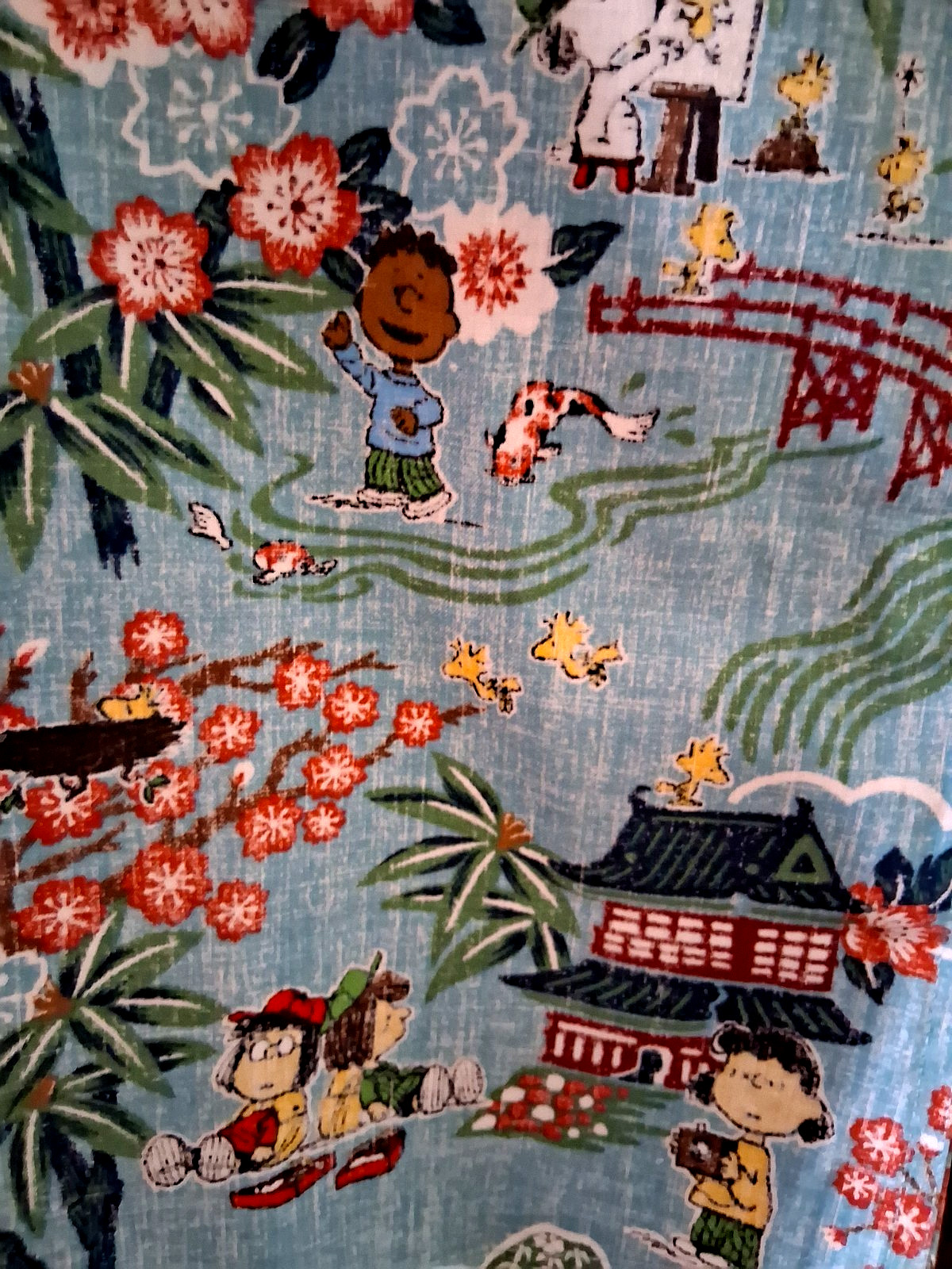 Reyn Spooner Men’s ” PEANUTS IN JAPAN” NWT TAILORED FIT Aqua Button Front Sizes