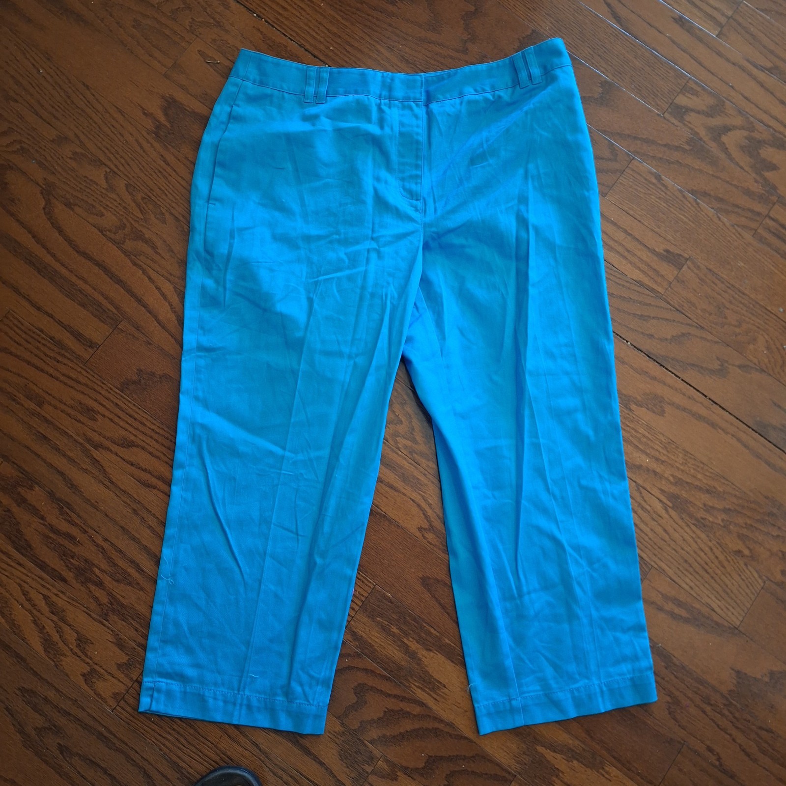 Light Blue Cropped Pants by St. Aumont Size 16 NWOT