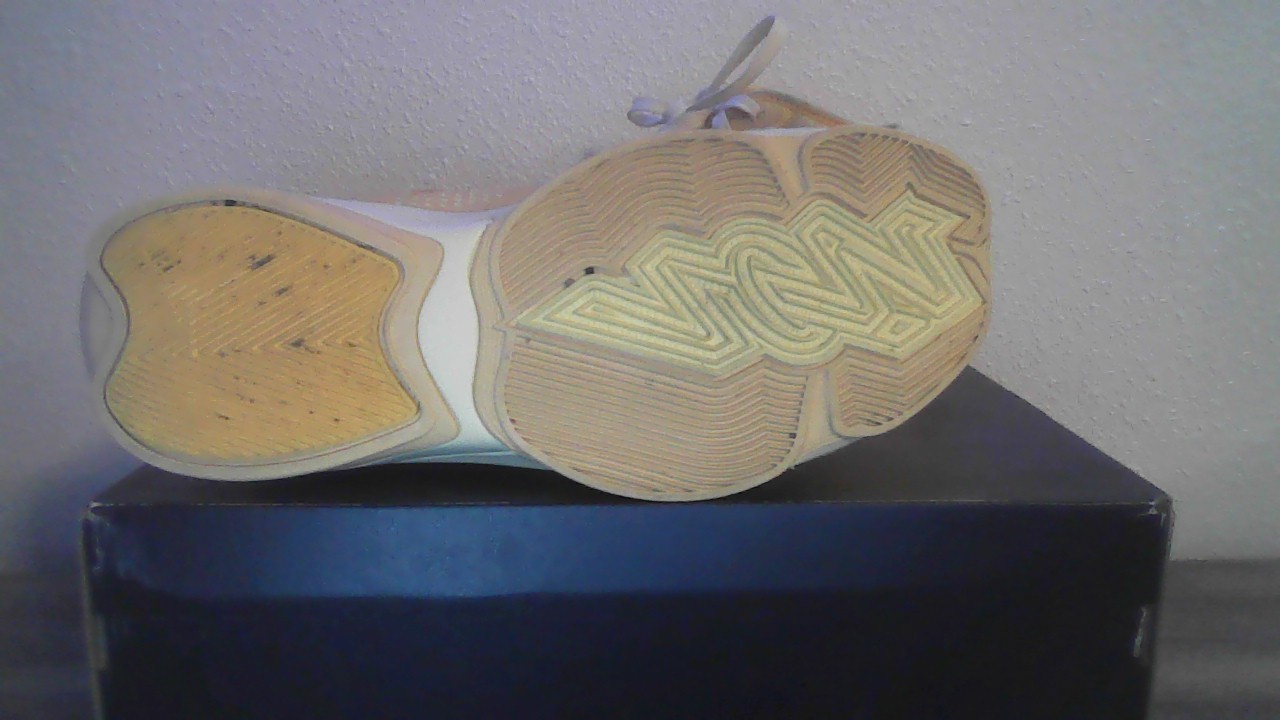 Size 9.5 – Air Jordan Zion 2 Full Moon