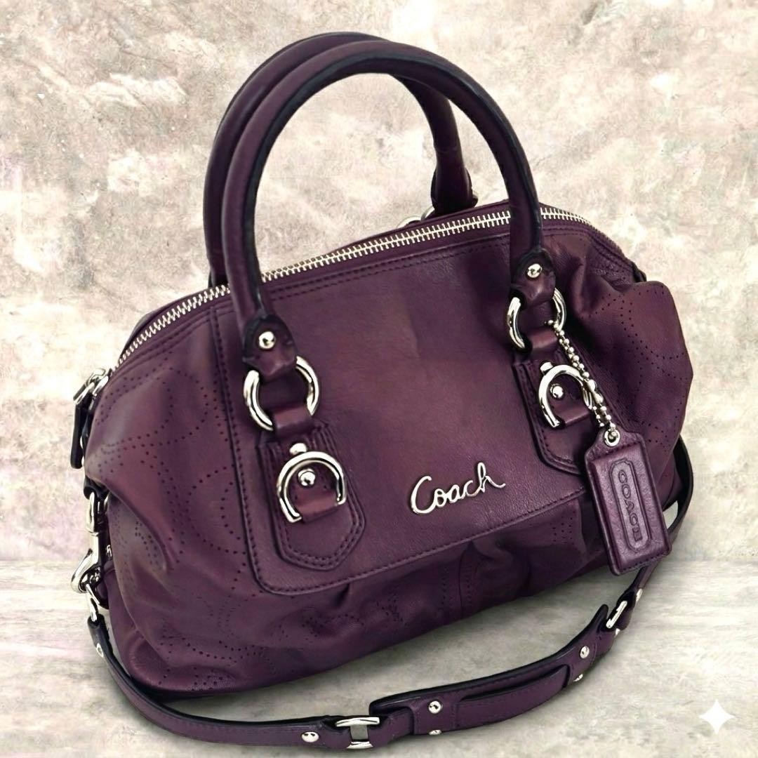Color COACH Handbag Y2K Ashley Madison 2way Leather