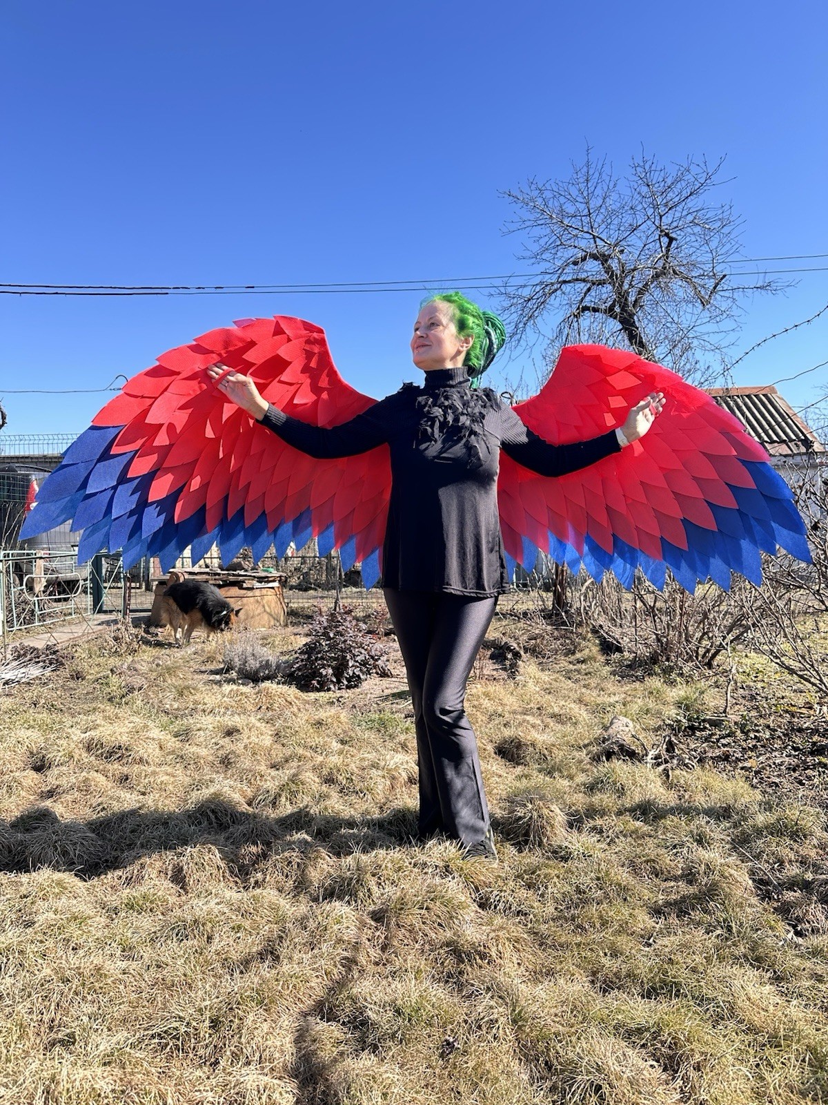 Red Angel Wings Costume Red Blue Angel Wings