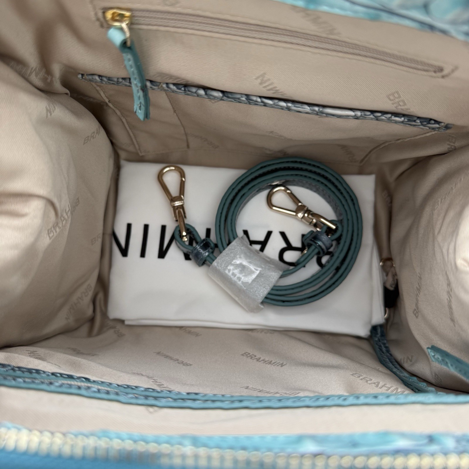 Brahmin Small Caroline Spearmint Green Ombre Satchel Handbag