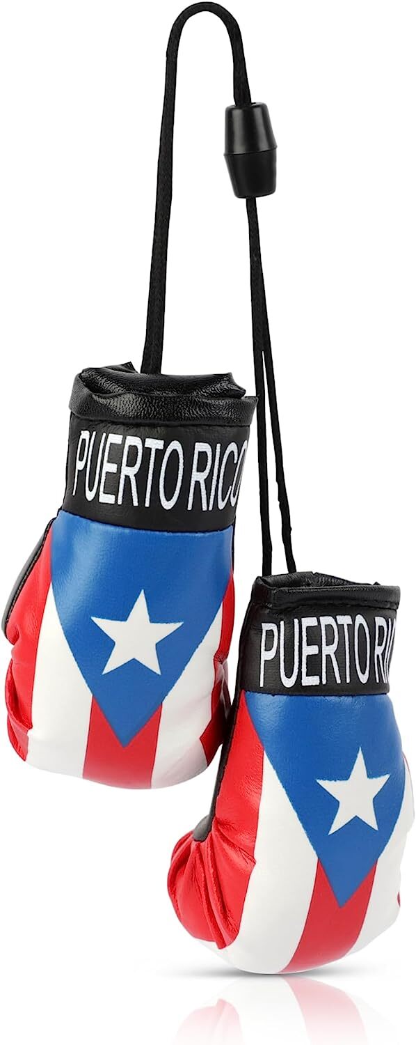 Country Flag Mini Boxing Gloves – Hanging Punching Gloves