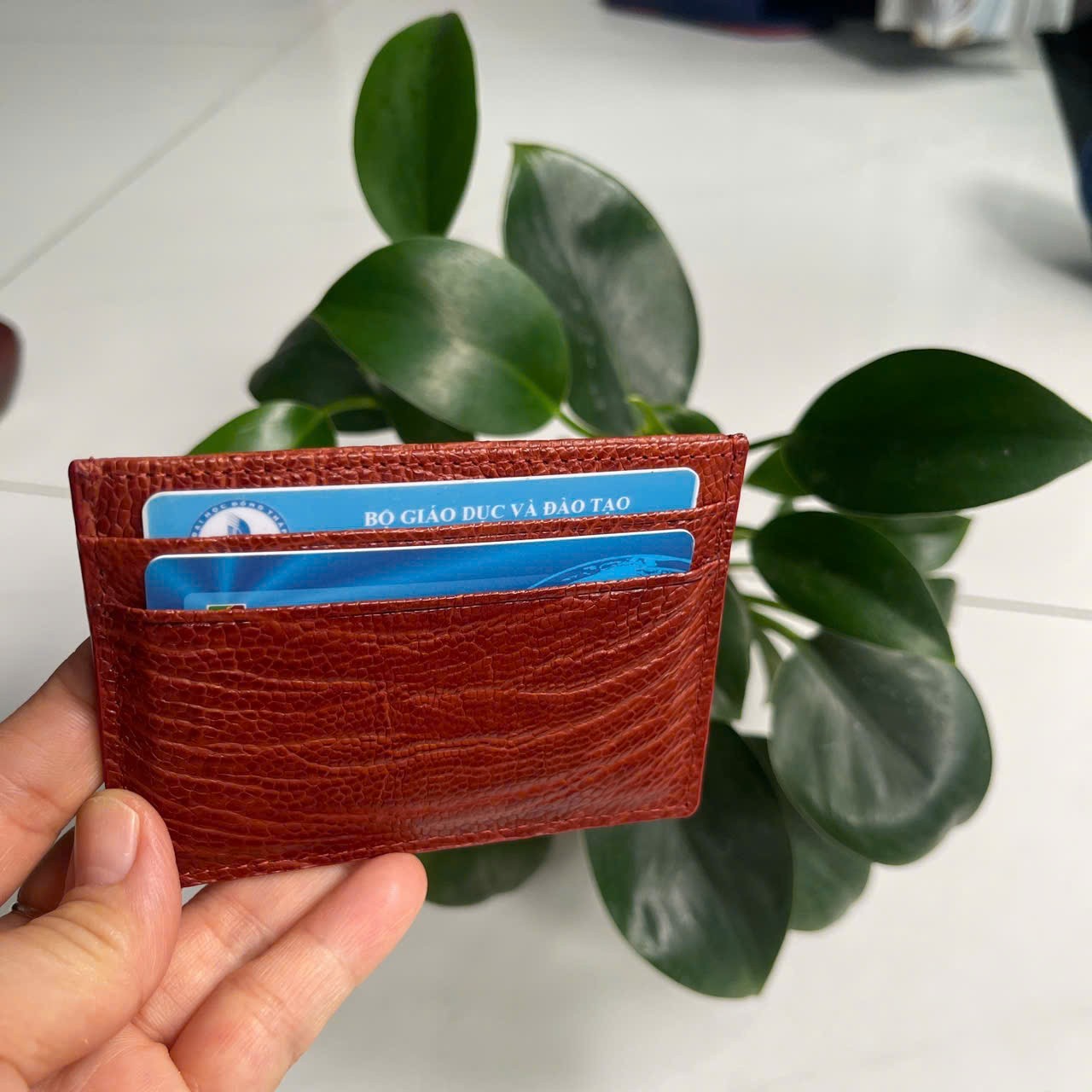 BrownGENUINE OSTRICH LEATHER SKIN CREDIT CARD HOLDER/ WALLET CARD HOLDER FOR MEN