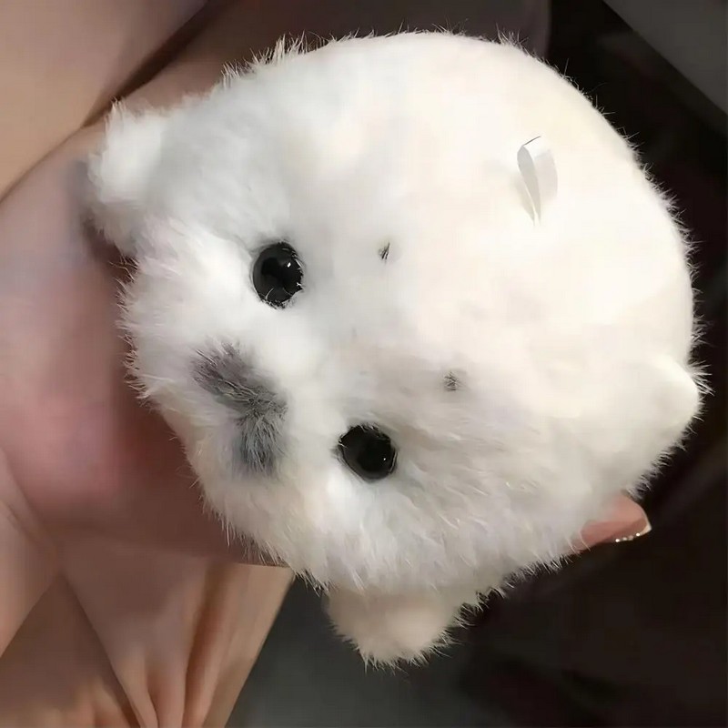 Seal Plush Keychain Bag Charm Cute Marine Animal Pendant Travel Souvenir