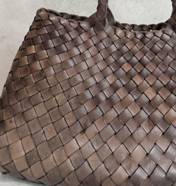 Dragon Diffusion Leather Mesh Totebag Handbag Gray Brown Excellent